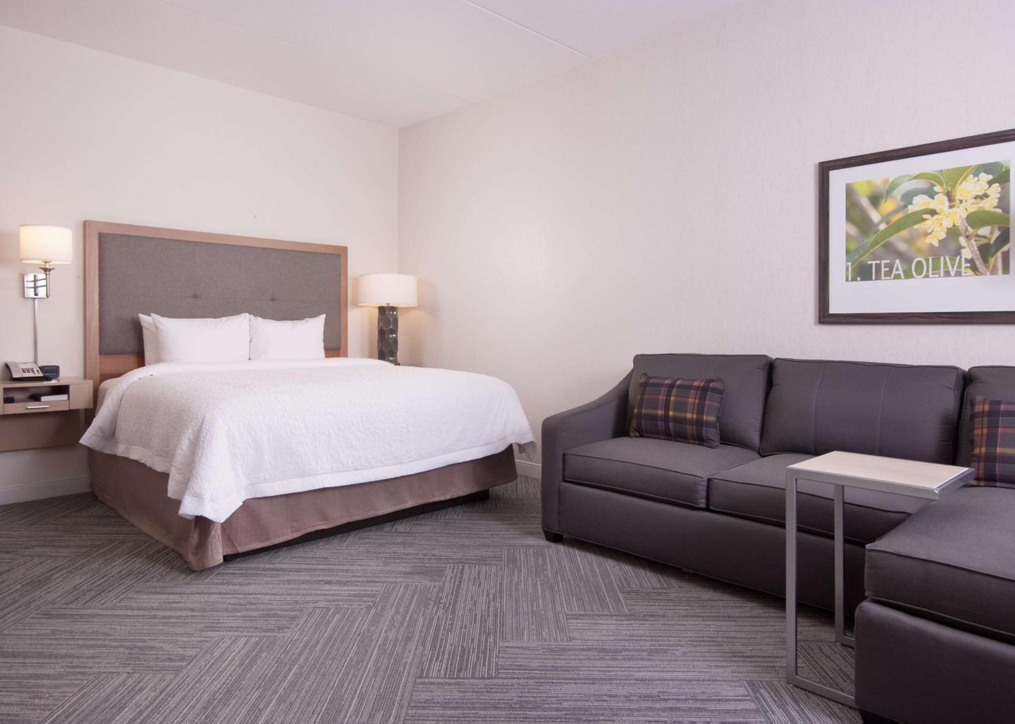 Hampton Inn & Suites By Hilton Augusta-Washington Rd Eksteriør billede